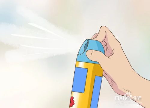 如何消除屋内的宠物味道