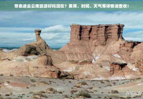 带泰迪去云南旅游好吗现在？费用、时间、天气等详情请查收！