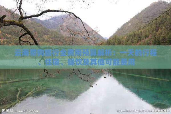 云南带狗旅行全费用预算解析：一天的行程、住宿、餐饮及其他可能费用