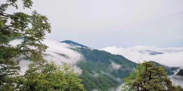 瓦屋山能带宠物吗
