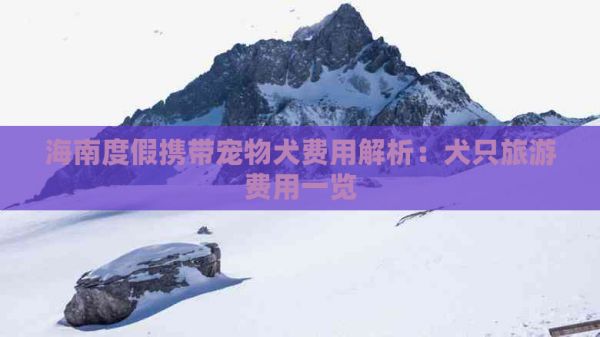 海南度假携带宠物犬费用解析：犬只旅游费用一览