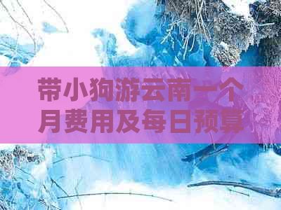 带小狗游云南一个月费用及每日预算详解
