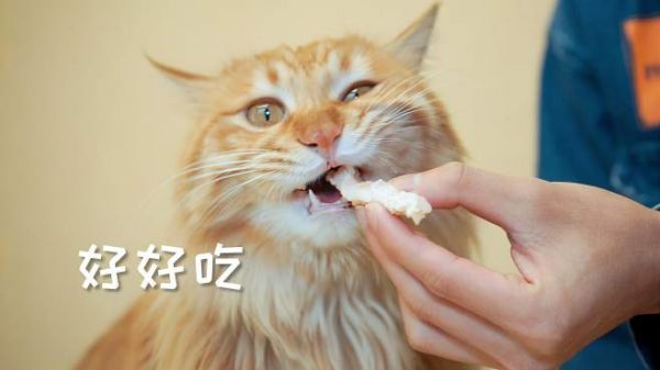 既然猫咪吃不了薯条,那就给它们做虾条吃!!!
