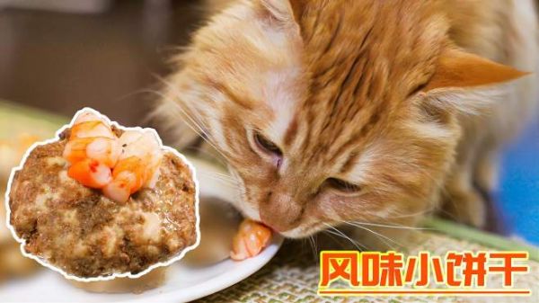 解锁新做法,用最低的成本,给猫咪做最喜欢吃的东西!