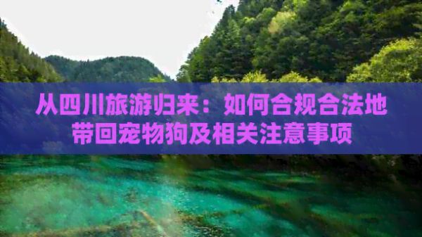 从四川旅游归来：如何合规合法地带回宠物狗及相关注意事项