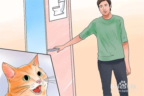 如何教会猫咪使用马桶