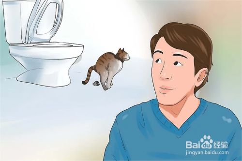 如何教会猫咪使用马桶