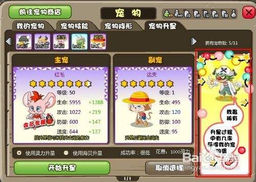 QQ天堂岛特殊宠物怎么获得？