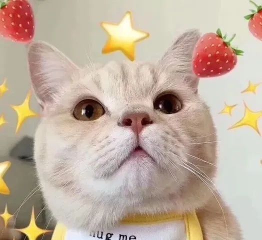 可爱猫咪文案ai