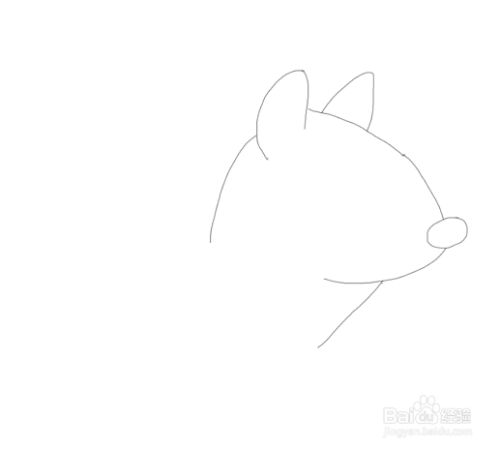 简笔画花栗鼠是怎么画的