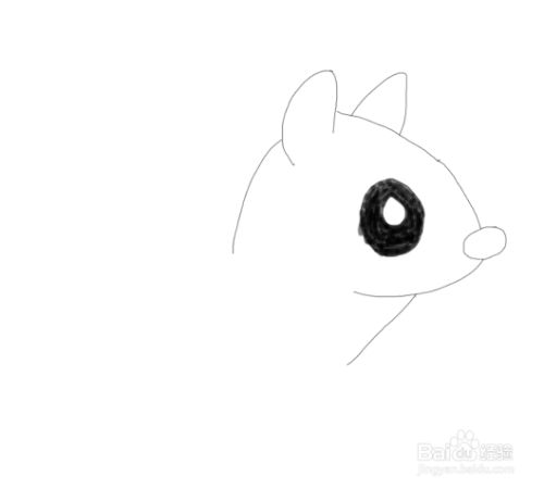 简笔画花栗鼠是怎么画的
