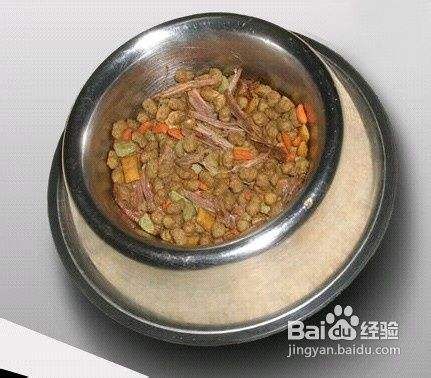 自制狗粮的做法