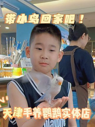 津汇童趣宠物店:我们卖的不单单是宠物是家庭的一份子! 天津三家实体店我们对自己的要求每一只都要做到 健康 非近亲 调羹手养 高纯 A21奶粉 饲养环境每日早上消毒一次 终身免费指导饲养 终身免费剪羽 天津河西区彩悦城2楼10.00-8.30 天津红桥区水游城3楼10.00-22.00 天津南开区熙悦汇2楼10.00-22.00#天津 #手养鹦鹉