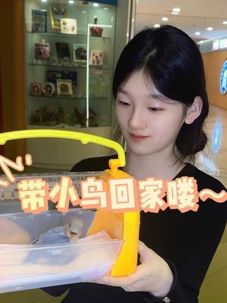 津汇童趣宠物店:天气冷了 养雏鸟要注意保温 女生都喜欢蓝紫色的小鸟#手养鹦鹉 #牡丹鹦鹉 #天津鹦鹉 #北京鹦鹉 #小朋友都爱看