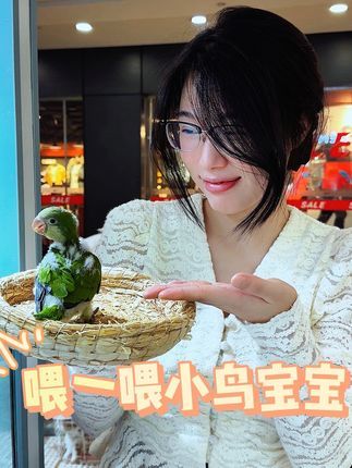 津汇童趣宠物店:体验一下喂喂小雏鸟宝宝 喜欢小鸟的都可以来体验一下呦#手养鹦鹉 #和尚鹦鹉#天津鹦鹉 #北京鹦鹉 #带标识合法鹦鹉