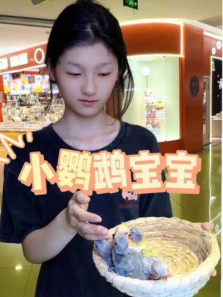 津汇童趣宠物店:好小的鹦鹉宝宝~ 好小的鹦鹉宝宝还是等大一点再接回家吧#手养鹦鹉 #牡丹鹦鹉 #天津鹦鹉 #北京鹦鹉 #紫罗兰牡丹鹦鹉