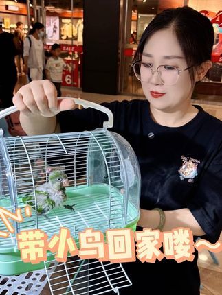 津汇童趣宠物店:从小养更亲人 有时间喂就选小的,省事就选大的#手养鹦鹉 #和尚鹦鹉 #天津鹦鹉 #北京鹦鹉 #带标识合法鹦鹉
