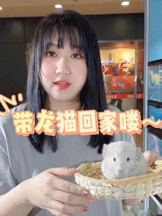 津汇童趣宠物店:在天津获得一只小龙猫 很适合女生和小朋友养的宠物#龙猫 #天津龙猫实体店 #北京龙猫 #小朋友都爱看 #适合女生养的宠物