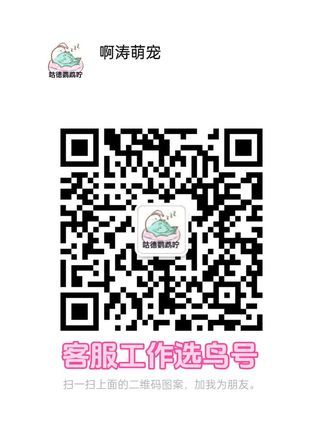 啊涛宠物经营部:#集合了#鹦鹉