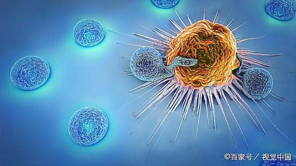 肿瘤科医生:患者带癌生存12年,每天只做三件事