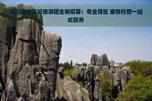 四川宠物友好旅游团全新招募：专业导览 宠物托管一站式服务