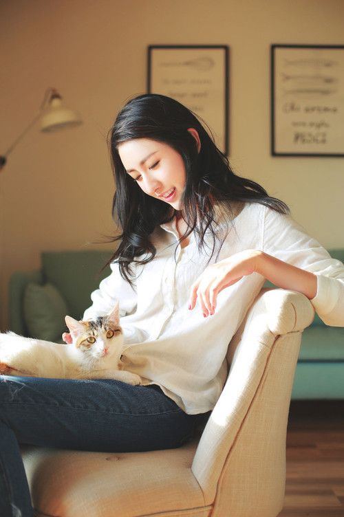 猫咪官网社区入口(如何加入并参与社区互动)