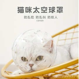 猫咪头罩宠物用品打针防咬安全项圈太空防舔用品伊丽莎白头套批发