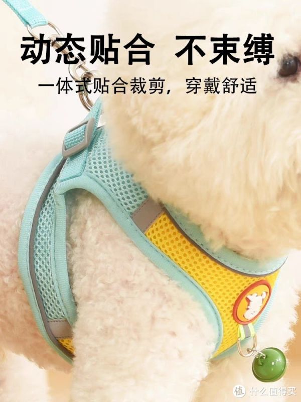 养小狗必备牵引绳