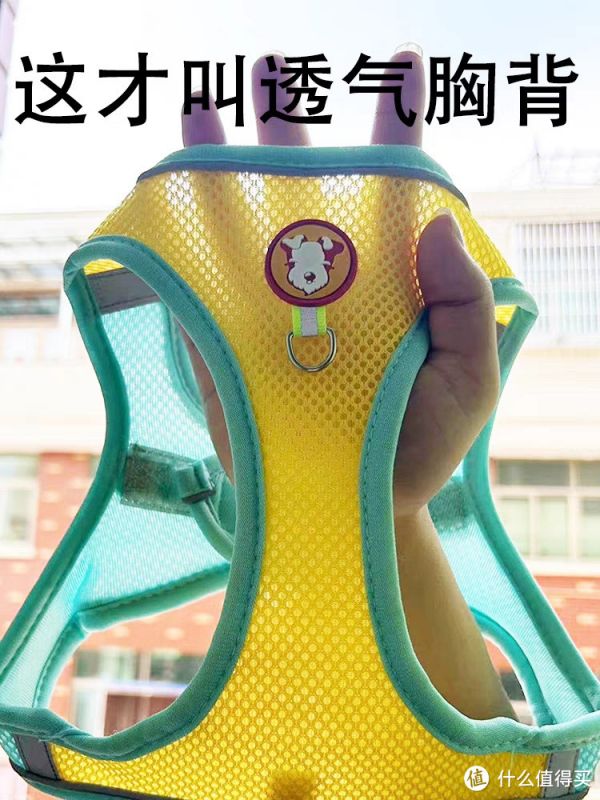 养小狗必备牵引绳