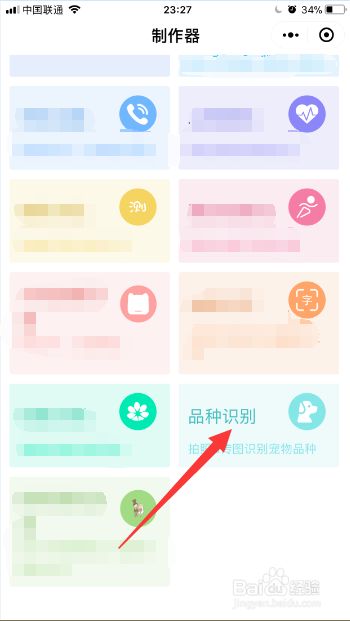 如何用微信小程序拍照识别宠物的品种？