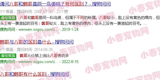 八哥鹩哥有什么区别