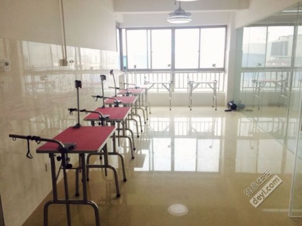 学校吹水区