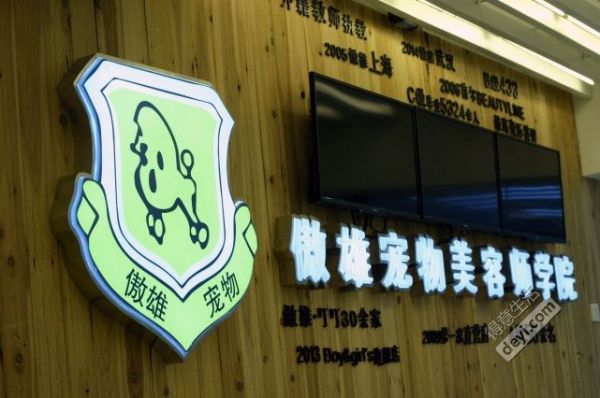 学校LOGO展示