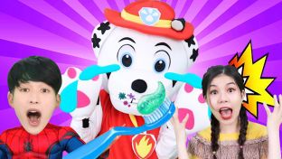 蜘蛛侠水果猫超人,教穿越的原始人养成刷牙好习惯