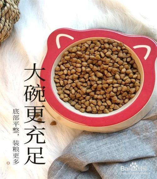 如何选购宠物脸狗食盆