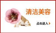 小豆子模特图_副本