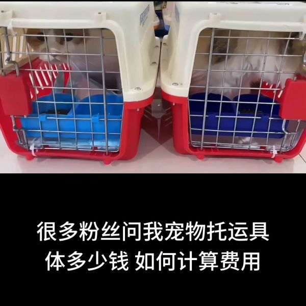 国内宠物托运价格参考表,宠物托运收费标准