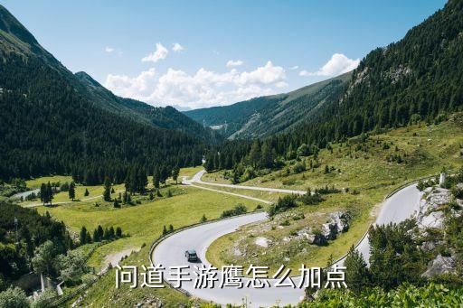 问道手游鹰怎么加点