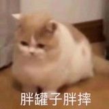 虾仁烧卖真好吃