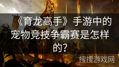 《育龙高手》手游中的宠物竞技争霸赛是怎样的？
