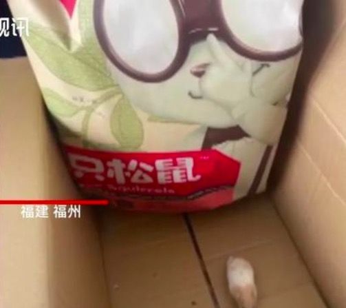 买零食送宠物？三只松鼠：暂无此机制，后续会认真考虑