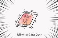 宠物时尚秀：网红宠物的潮流穿搭秘籍