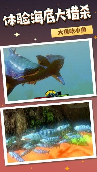 水生动物模拟器