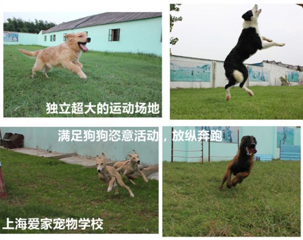 爱家超大运动场2_副本.jpg
