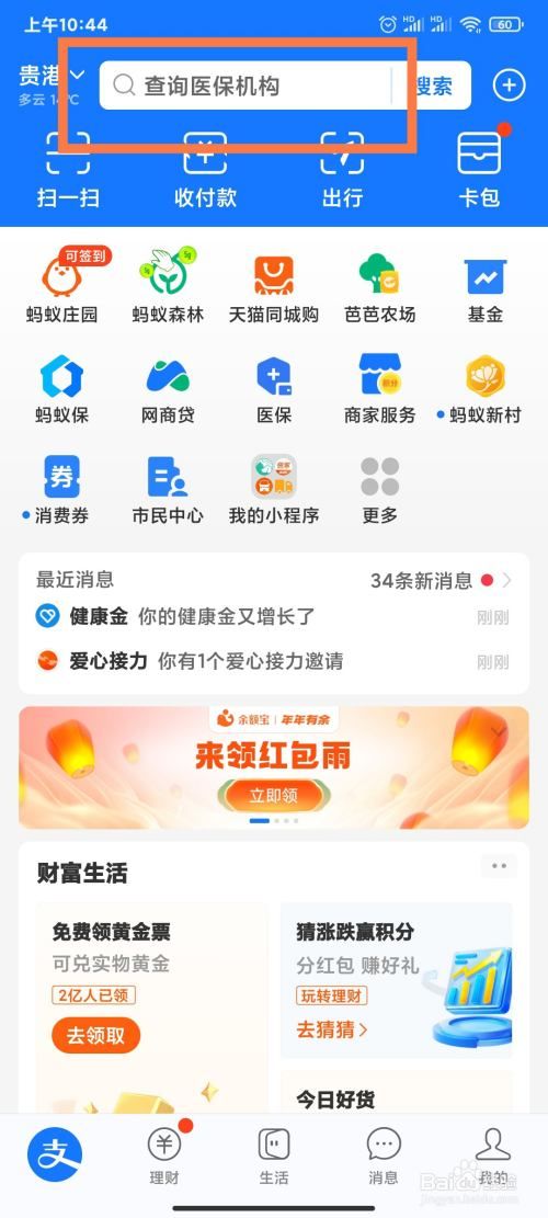 宠物怎么从外地运回家