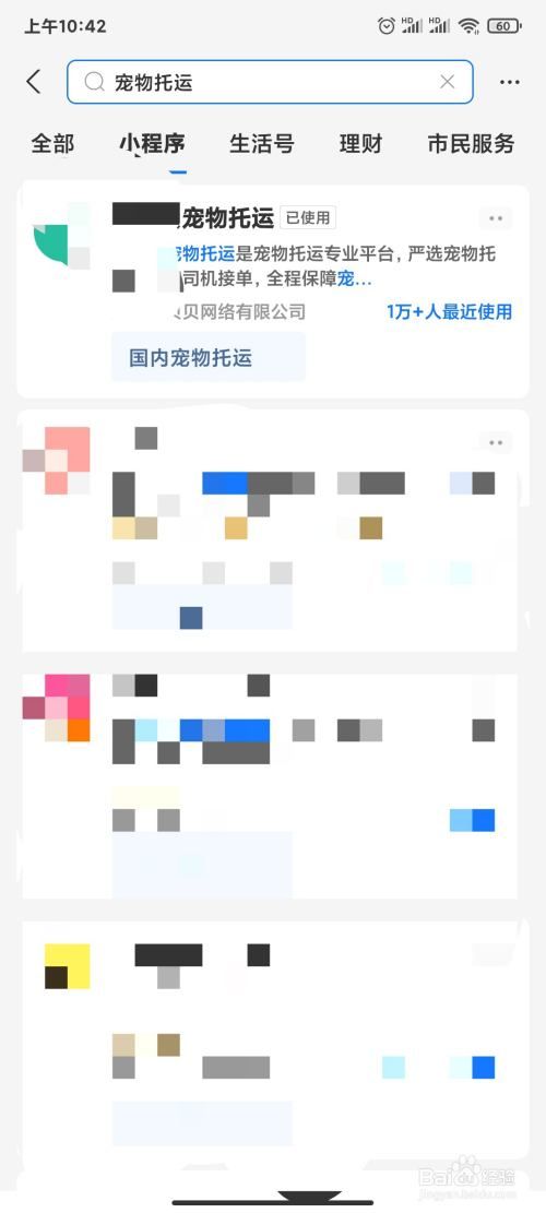 宠物怎么从外地运回家