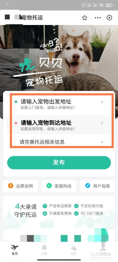 宠物怎么从外地运回家