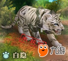 剑网3宠物白隐获取攻略 剑网3宠物白隐怎么获得