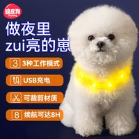 狗狗发光项圈宠物猫咪夜光遛狗灯狗圈颈圈夜间防丢失脖圈发亮充电