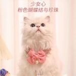 宠物可爱项圈配饰布偶金渐层猫脖子挂脖项链饰品猫咪编织围巾用品